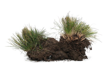 Grass with dirt, soil isolated on white background