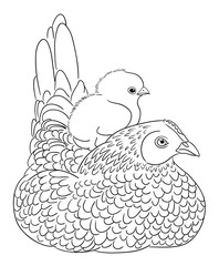 Cute chickens line art 02. Good use for symbol, logo, web icon, mascot, sign, coloring, or any design you want. 
