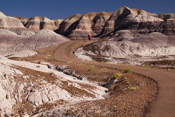 Landscape on Blue Mesa Trail in Petrified Forest National Park in Arizona in the USA
