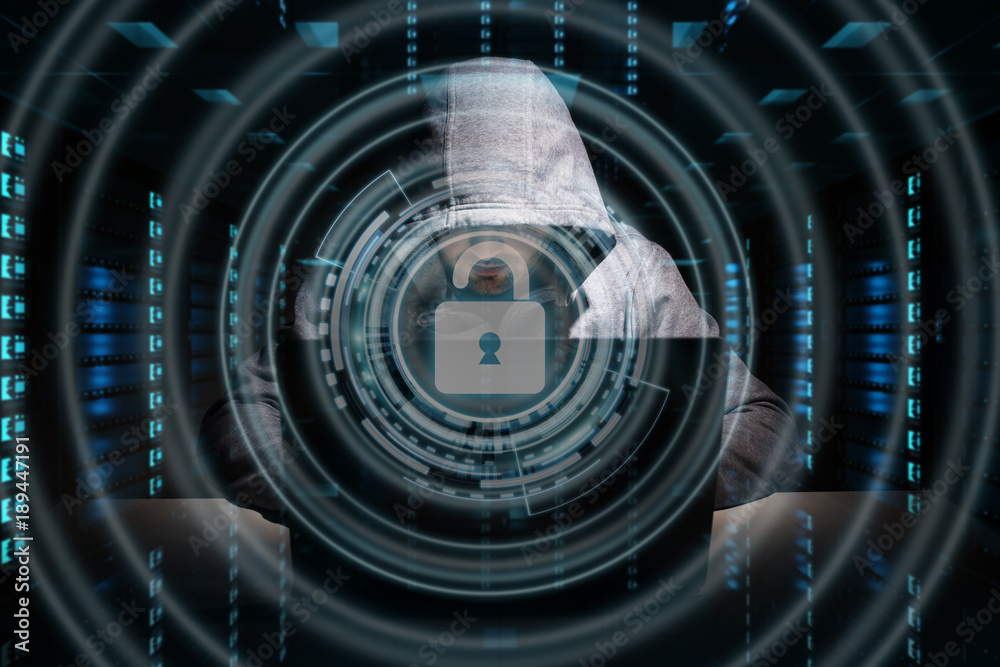 Leinwandbilder Hacker accessing to personal data information with a computer 3D rendering