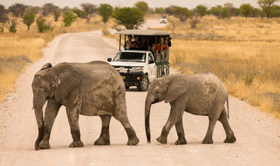 Safari in Namibia © Winfried Rusch