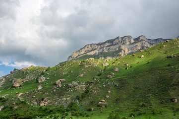 Fototapeta na wymiar Baksan gorge in the Caucasus mountains in Russia