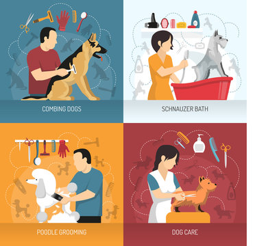 Dog Care Design Concept