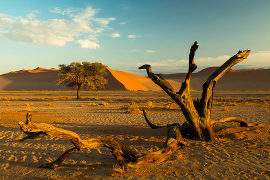 Sossusvlei