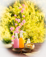 Natural Healthcare from Beauty Spa Means Wellness
