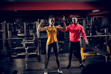 Shape motivated attractive muscular fitness woman standing with dumbbells above and doing a...