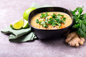 Indian Mulligatawny soup with lentil, parsley. Copyspace, horizontal view.