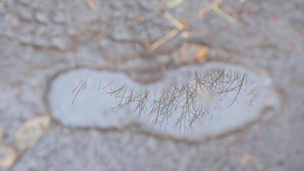 Sky and branches of trees displayed in the puddle in the shape of the foot of the shoe.