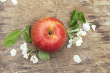 Fresh sweet juicy spring red apples with flowers