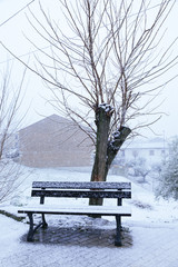christmas postcard of a bench and a tree full of snow