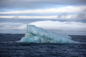 Deurstickers Smeltende ijsbergen in de Noordelijke IJszee © Vladimir Melnik