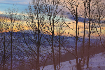 Fototapeta na wymiar Sunny winter morning in a beautiful area