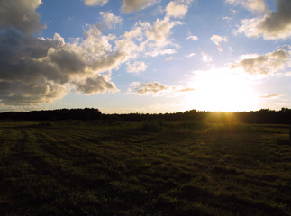 Laesoe / Denmark: Romantic evening mood at the edge of the forest in the nature reserve Laesoe Klitplantage