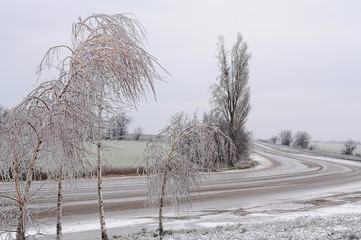 Winter road leaving behind the turn and icy birches.
