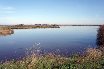 Marais de l'île de Ré