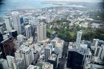 Fototapeta premium Auckland New Zealand
