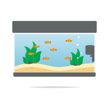 Freshwater Fish Tank Vector