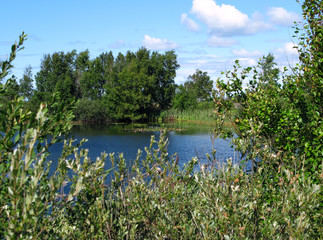 Laesoe / Denmark: Dreamy freshwater lake in the dunes at Horneks Odde in the nature reserve Laesoe Klitplantage