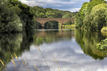 Fototapeta premium bridge over the river north tyne bellingham northumberland