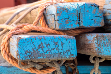 Axis with fishing net