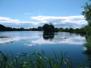Laesoe / Denmark: Dreamy freshwater lake in the dunes at Horneks Odde in the nature reserve Laesoe Klitplantage