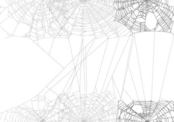 black spider large web isolated on white