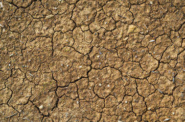 Cracked soil dry earth texture background