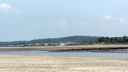 Dunes de sable et forêt de pins sur la côte sauvage de Charente mariytime