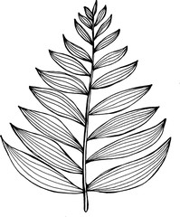 Black and white picture of a fractal leaf. Branch of a fern