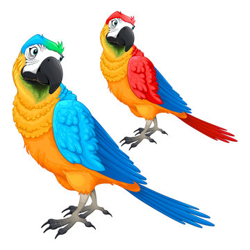 Funny parrots in two different colors