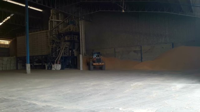 Loaders are preparing the grain in the warehouse.