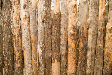 Wooden boards on a fence as a background
