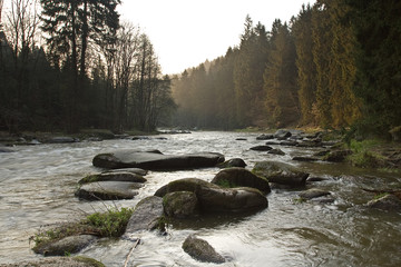Fototapeta na wymiar Beautiful river in mountain with trees