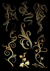 Set of golden floral elements on a black background for your design.