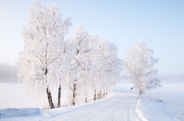 Fototapeta na wymiar Country road in a cold winter landscape with snow and frost