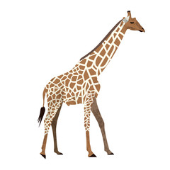 Naklejka premium Cute cartoon trendy design little giraffe with closed eyes. African animal wildlife vector illustration icon.