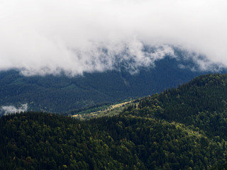 Obraz premium Carpatian mountains view from top