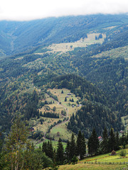 Carpatian mountains view from top