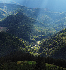 Carpatian mountains village at green forest