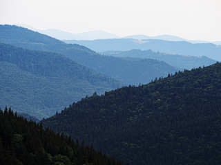 Fototapeta premium Carpatian mountains view from top