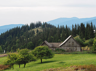 Carpatian mountains view from the top