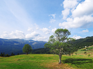 Carpatian mountains view from the top