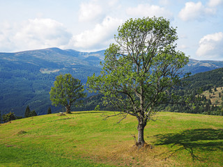Carpatian mountains view from the top