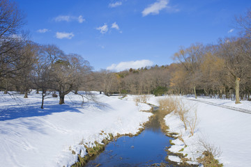Fototapeta na wymiar Winter river snow