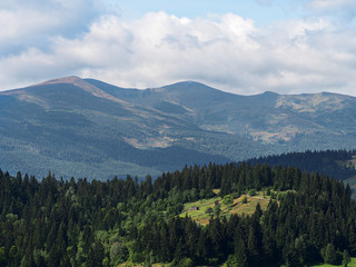 Carpatian mountains village at green forest