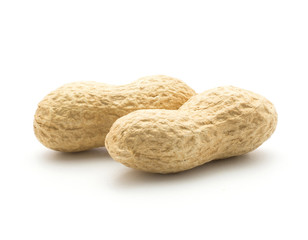 Two unshelled peanuts isolated on white background raw.