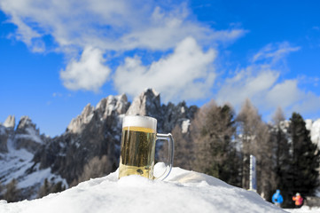 beer lying on the snow with mountains in the background