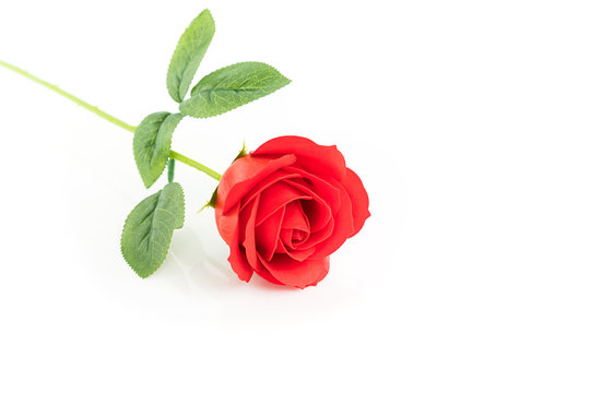 Single Red plastic fake roses on white