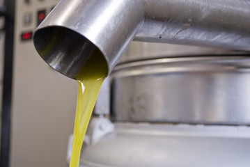 process, extraction of extra virgin olive oil in a factory, obtained from olives, last phase, divided by water with machinery, comes out pure, clear, gold from steel tap to be bottled, Liguria, Italy