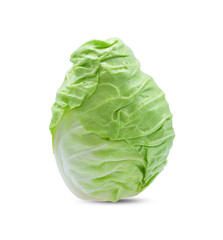 Obraz premium Fresh pointed cabbage isolated on white background